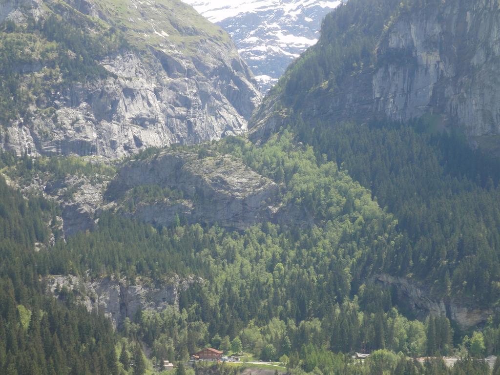 Lehmann'S Herberge Hostel Grindelwald Esterno foto